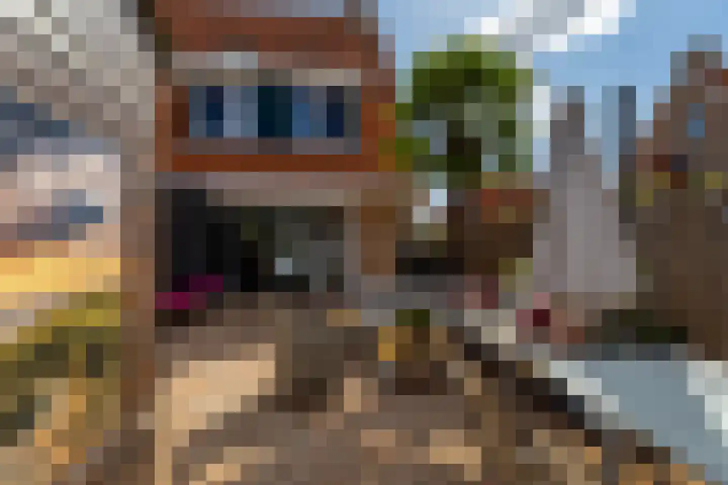 Riedermeet 26 Barendrecht thumbnail 37
