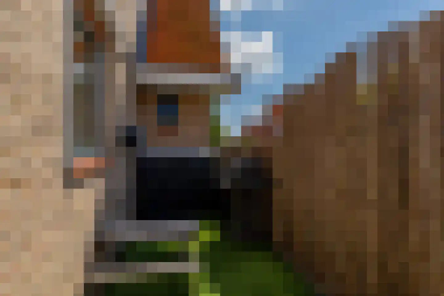 Riedermeet 26 Barendrecht thumbnail 38