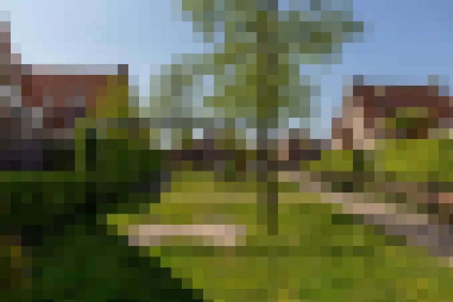 Riedermeet 26 Barendrecht thumbnail 41