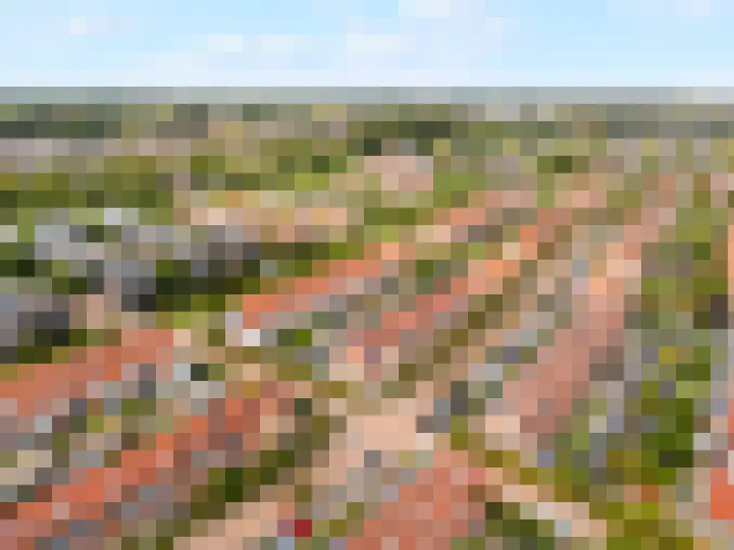 Riedermeet 43 Barendrecht thumbnail 31