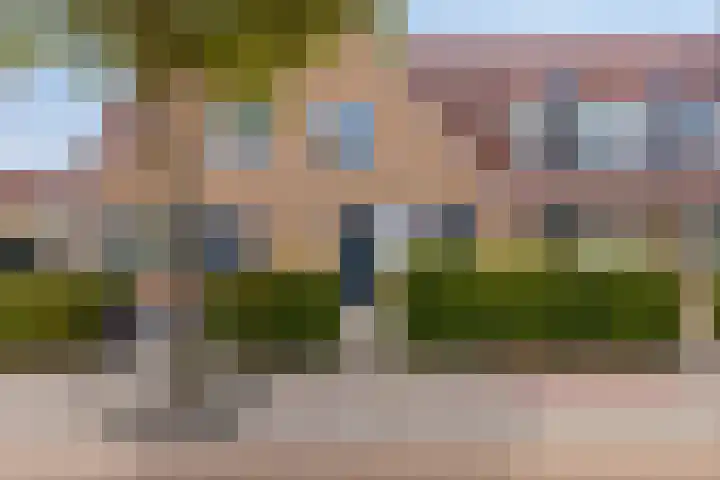 Riedermeet 47 Barendrecht thumbnail 25