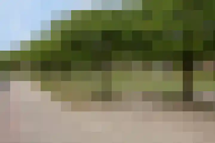 Riedermeet 47 Barendrecht thumbnail 27