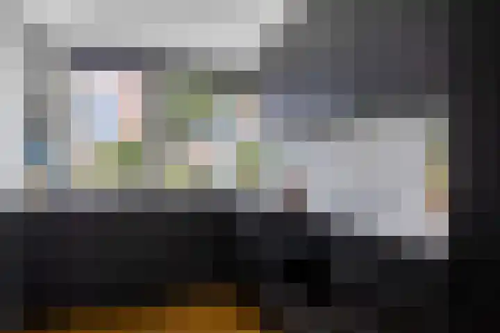 Riedermeet 47 Barendrecht thumbnail 7