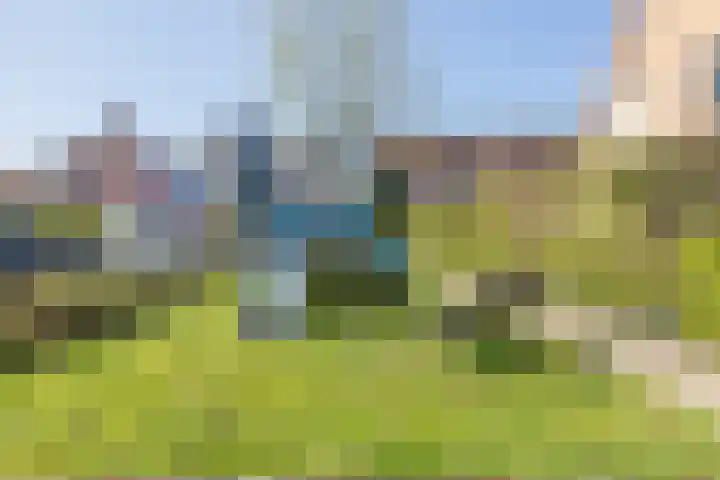 Riedermeet 65 Barendrecht thumbnail 22