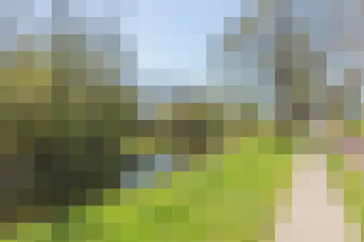 Riedermeet 65 Barendrecht thumbnail 23