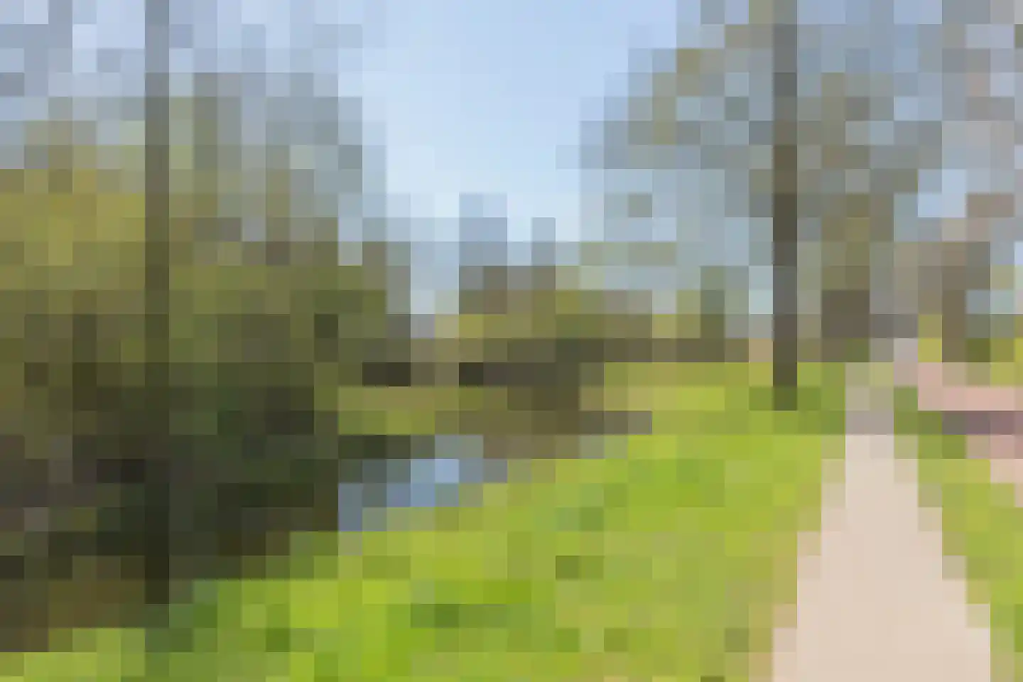 Riedermeet 65 Barendrecht thumbnail 25