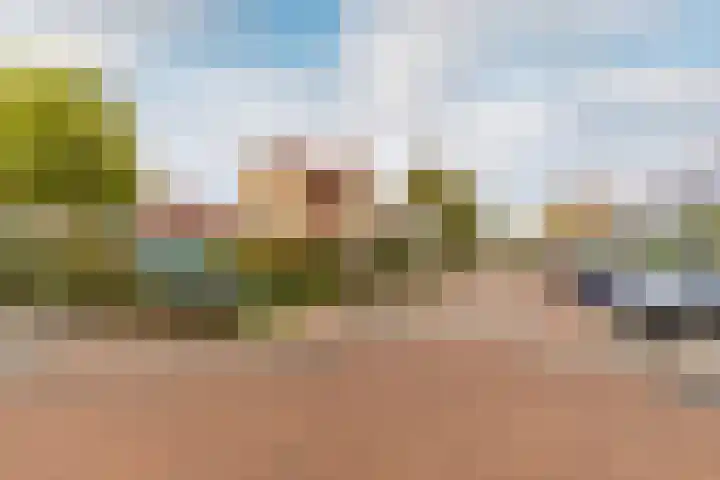 Riedermeet 70 Barendrecht thumbnail 31