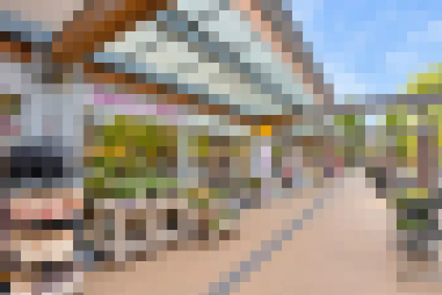 Riedermorgen 1 Barendrecht thumbnail 62