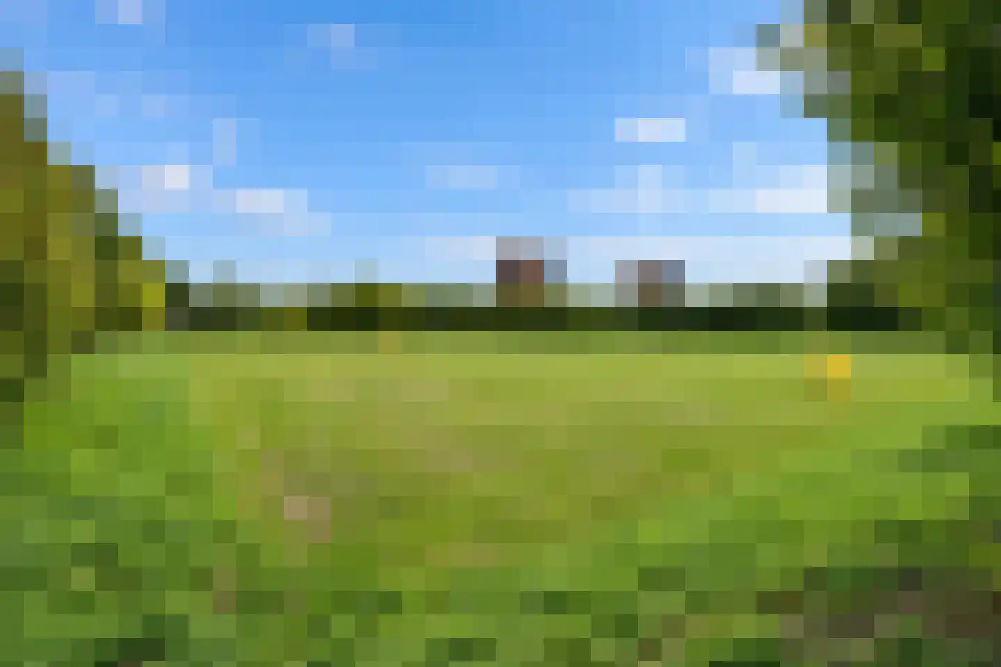 Riedermorgen 1 Barendrecht thumbnail 63