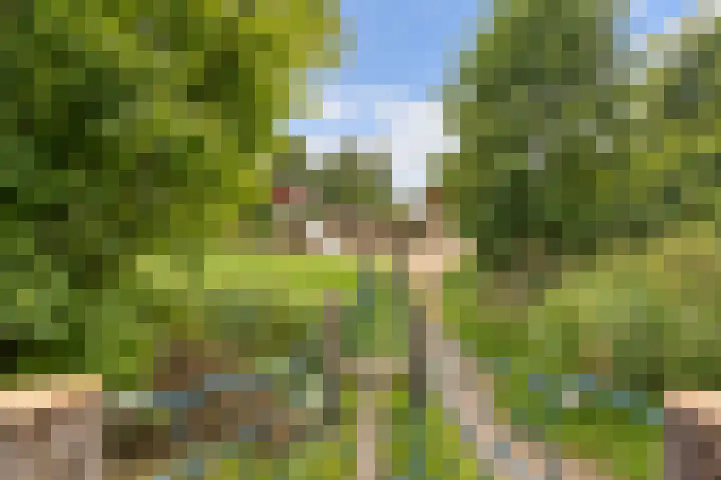 Riedermorgen 1 Barendrecht thumbnail 64