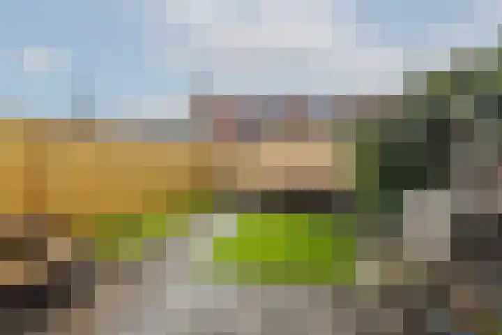 Riedermorgen 79 Barendrecht thumbnail 30