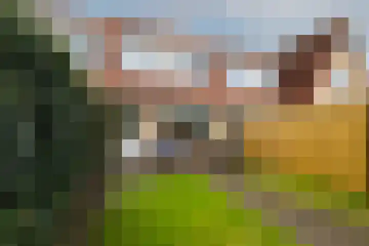 Riedermorgen 79 Barendrecht thumbnail 31