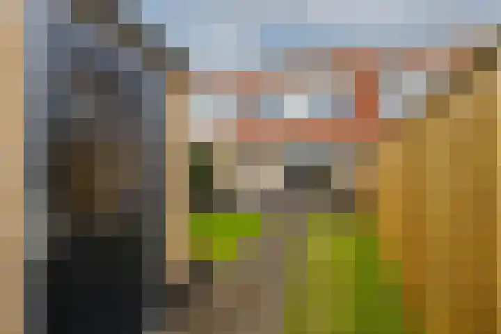 Riedermorgen 79 Barendrecht thumbnail 33