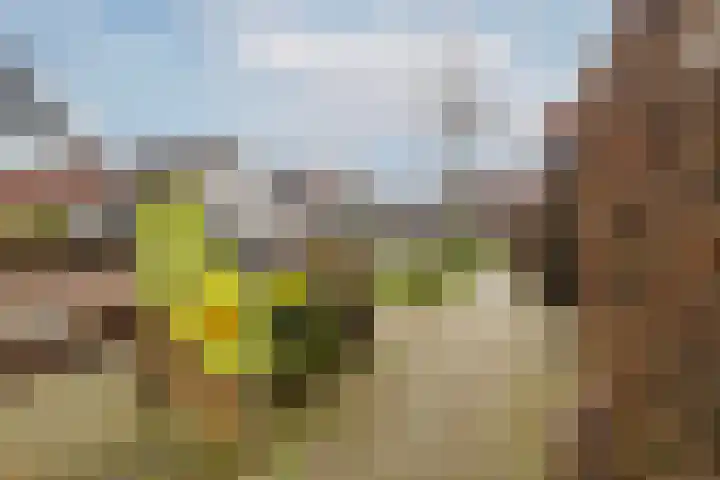 Riedermorgen 79 Barendrecht thumbnail 36