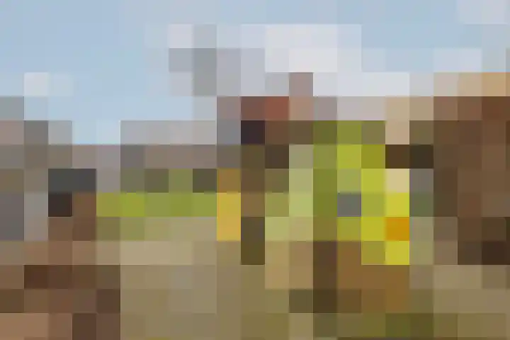 Riedermorgen 79 Barendrecht thumbnail 37