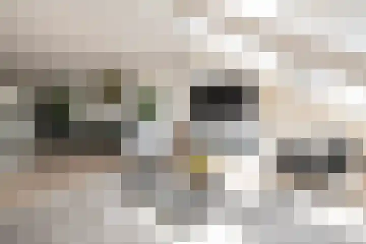 Riederstee 38 Barendrecht thumbnail 12