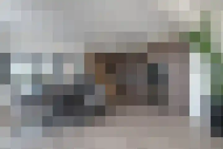 Riederstee 38 Barendrecht thumbnail 14