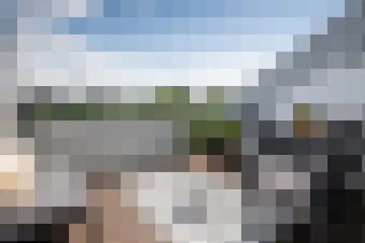 Riederstee 38 Barendrecht thumbnail 17
