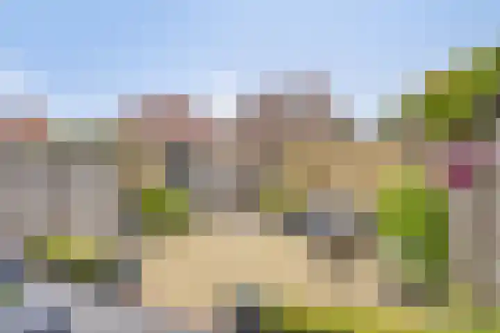 Riedertuin 39 Barendrecht thumbnail 4