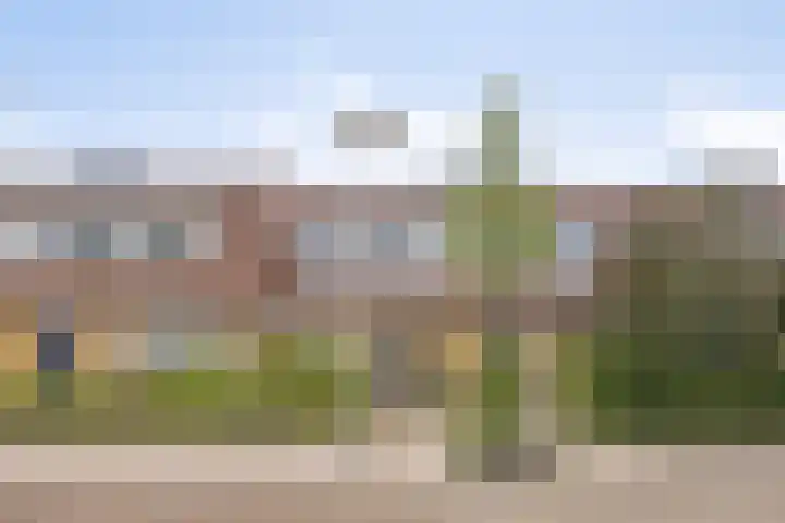 Riedertuin 39 Barendrecht thumbnail 7