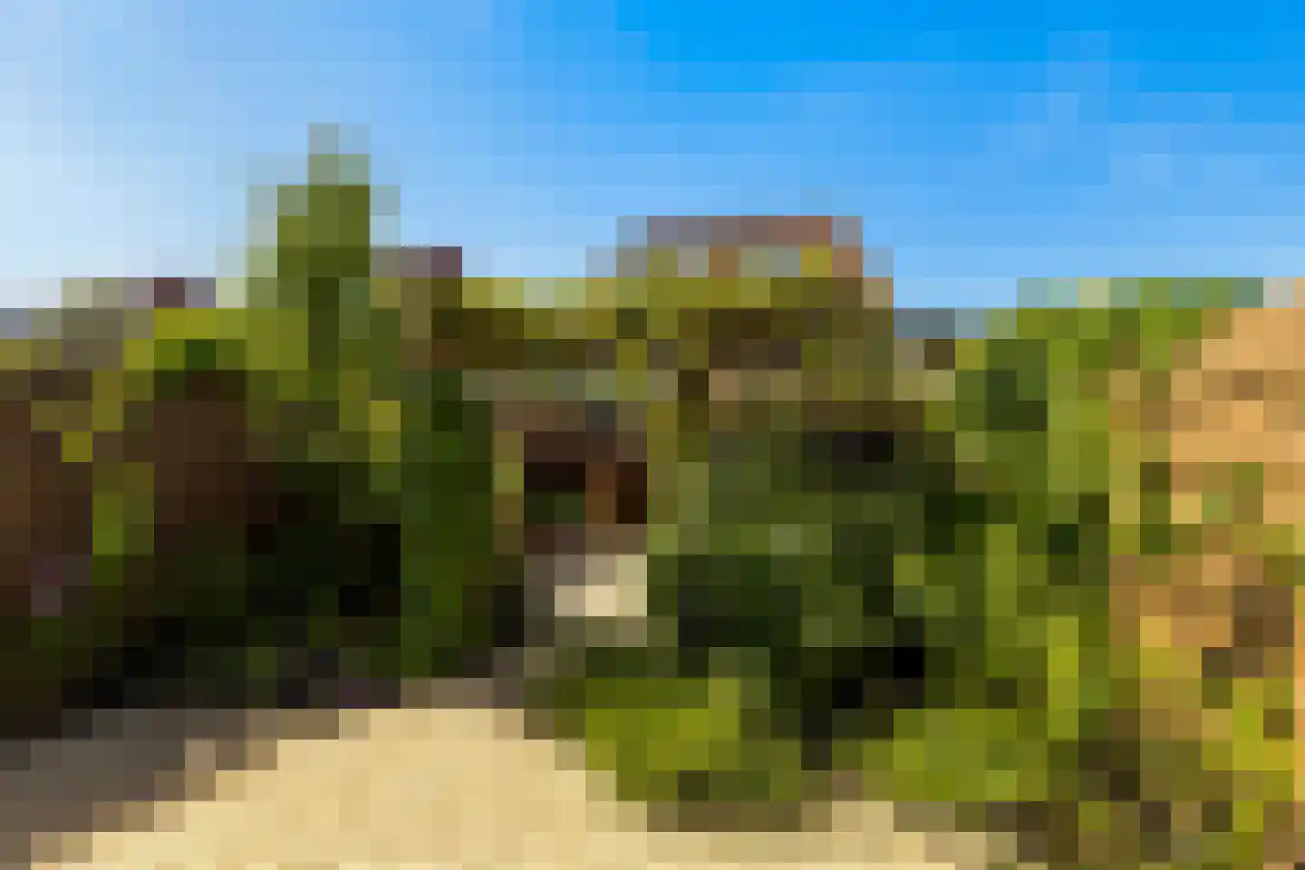 Riedertuin 51 Barendrecht thumbnail 30
