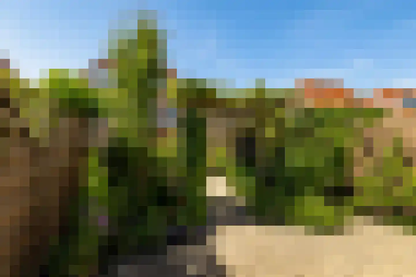 Riedertuin 51 Barendrecht thumbnail 31