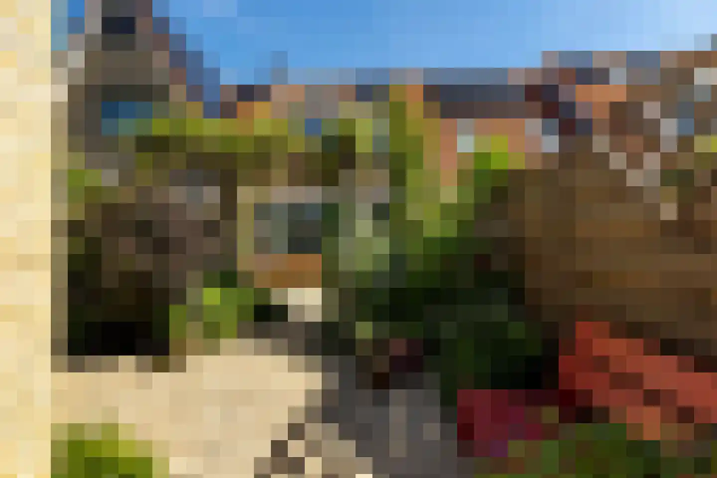 Riedertuin 51 Barendrecht thumbnail 36