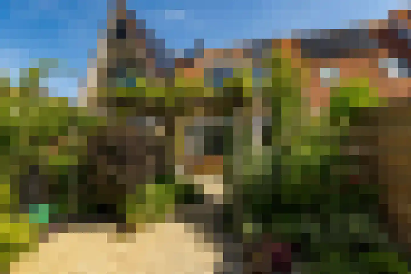 Riedertuin 51 Barendrecht thumbnail 5