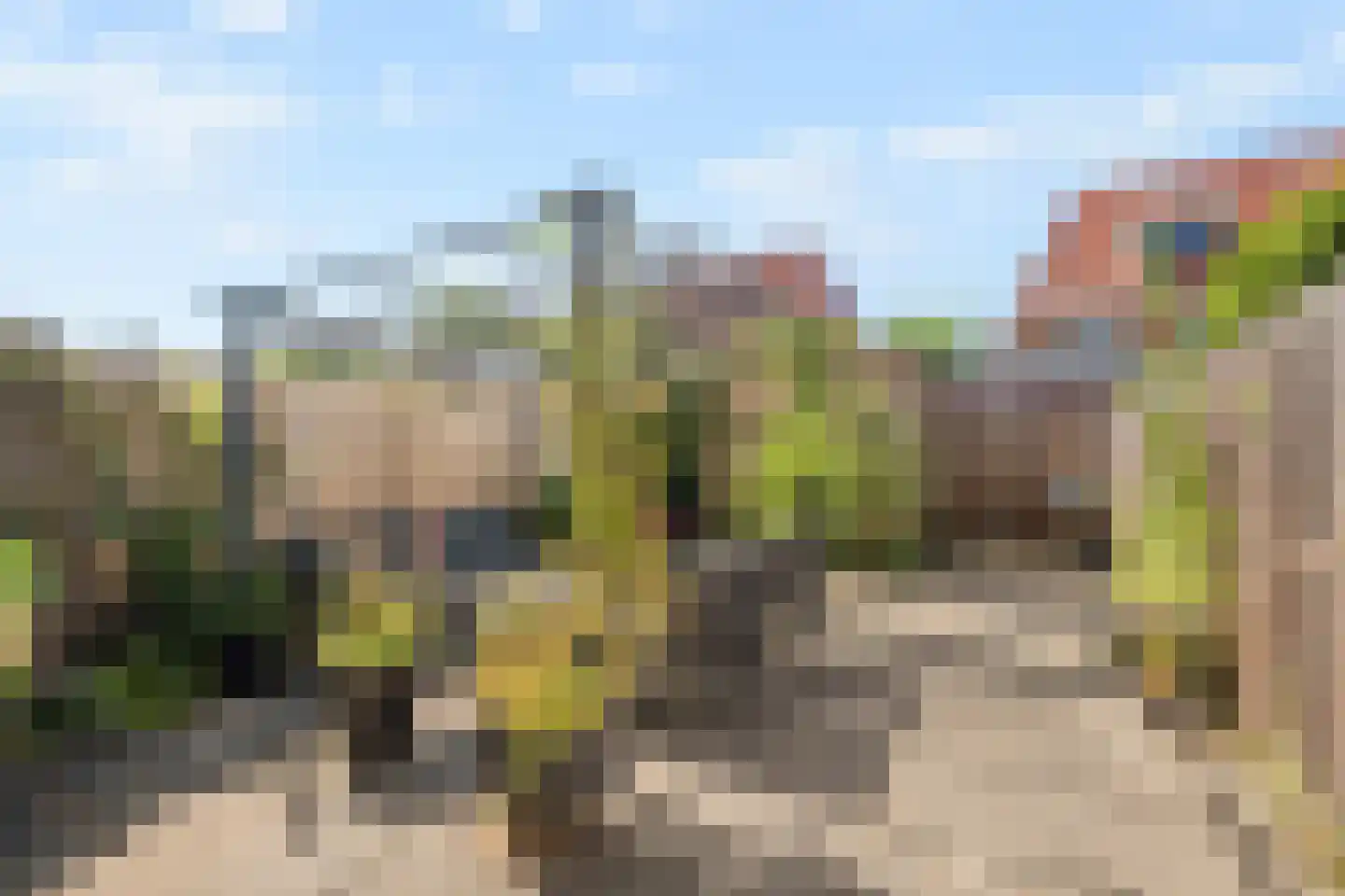 Riedertuin 69 Barendrecht thumbnail 31