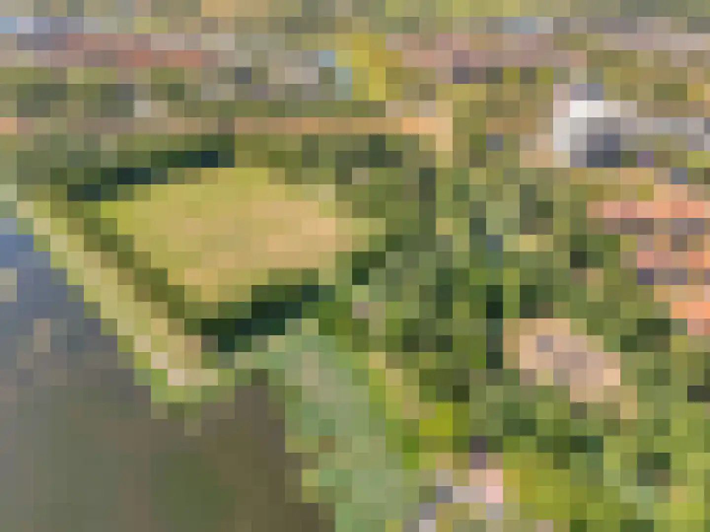 Riedertuin 69 Barendrecht thumbnail 36