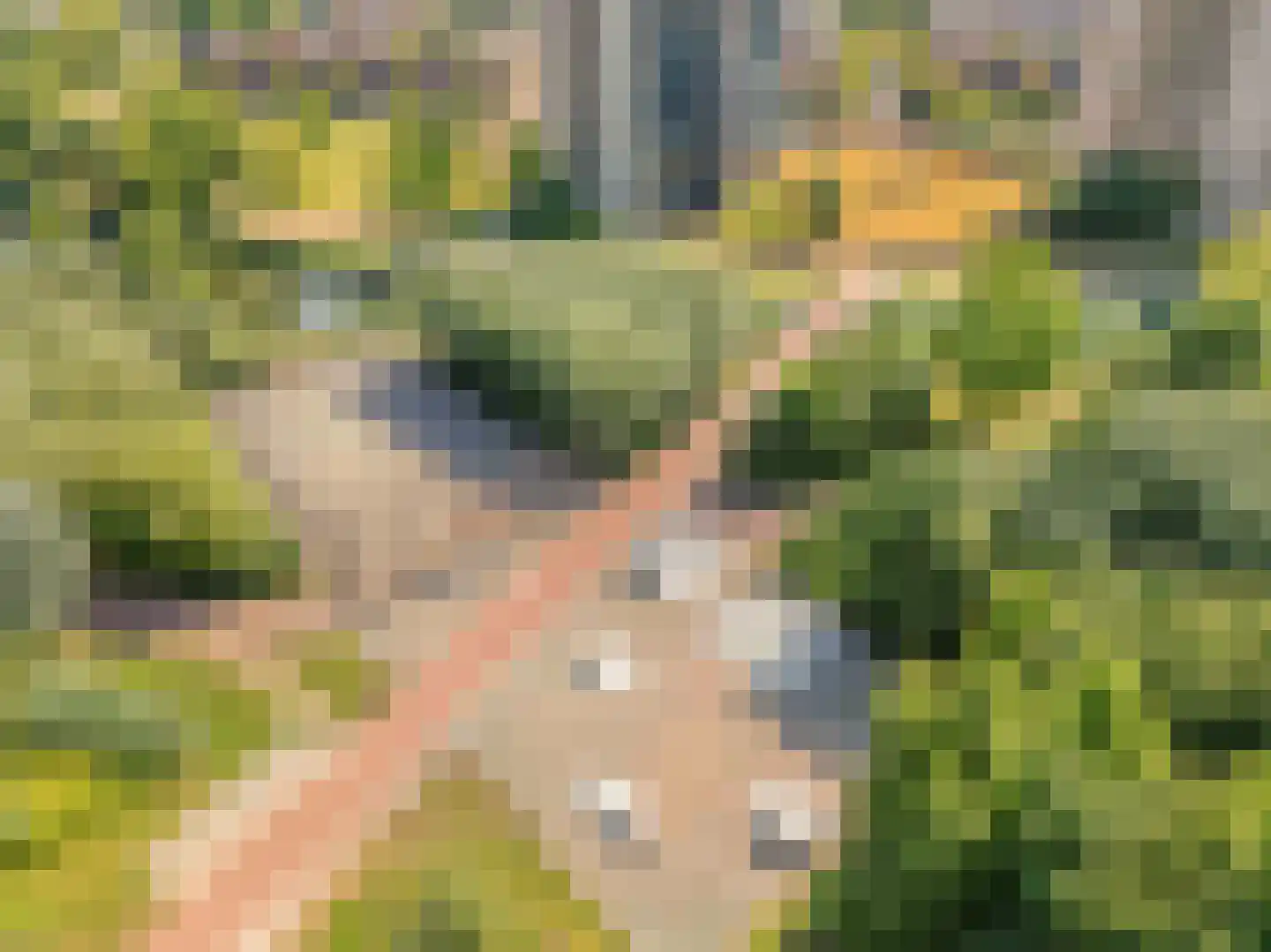 Riedertuin 69 Barendrecht thumbnail 37