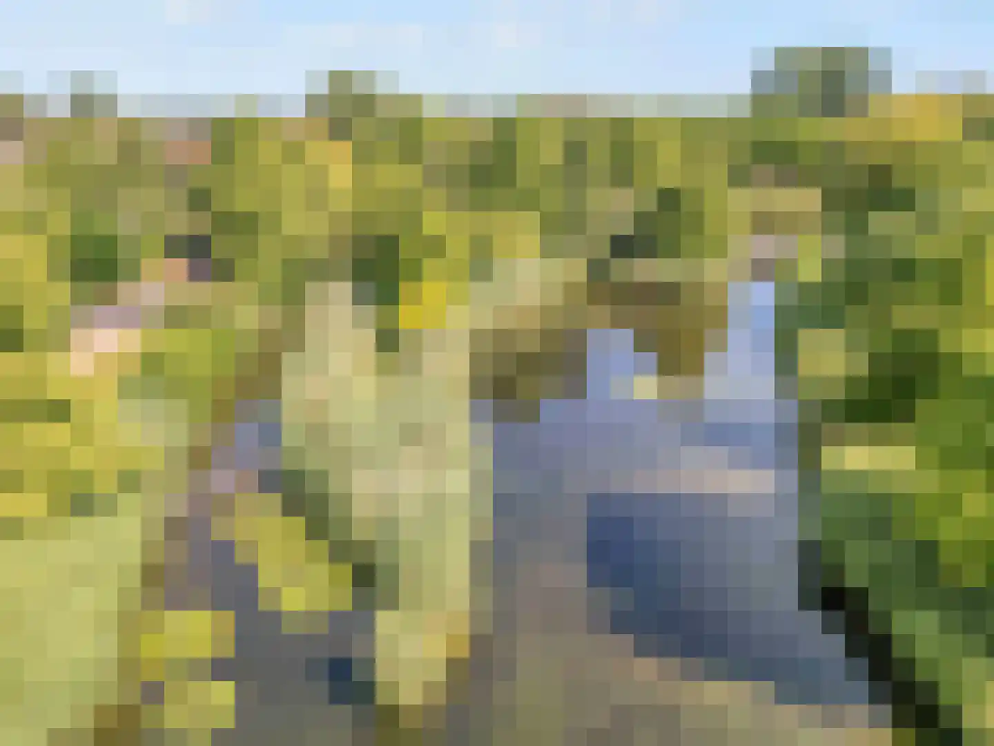 Riedertuin 69 Barendrecht thumbnail 38