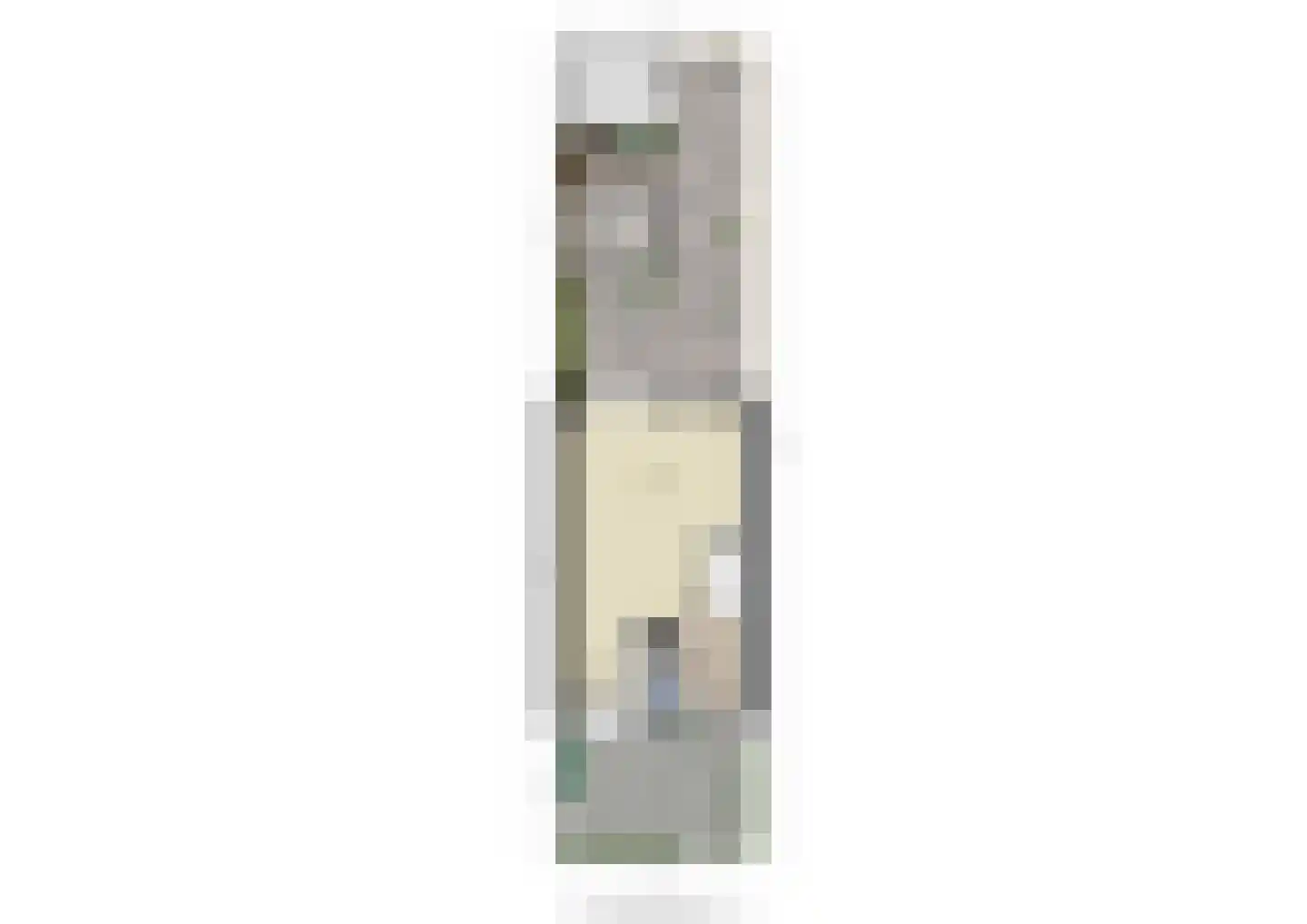 Riedertuin 69 Barendrecht thumbnail 40