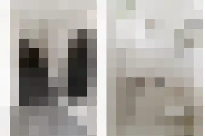 Riedertuin 70 Barendrecht thumbnail 16