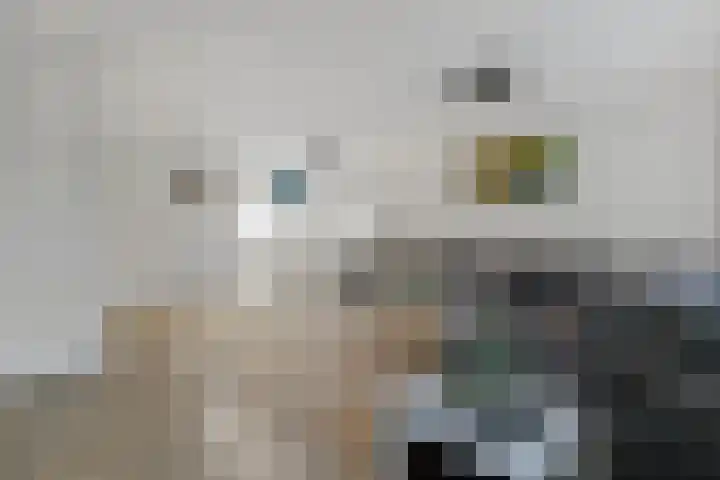 Riedertuin 70 Barendrecht foto 2