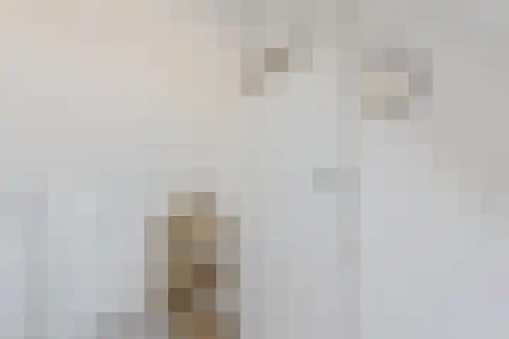 Riedertuin 70 Barendrecht thumbnail 26