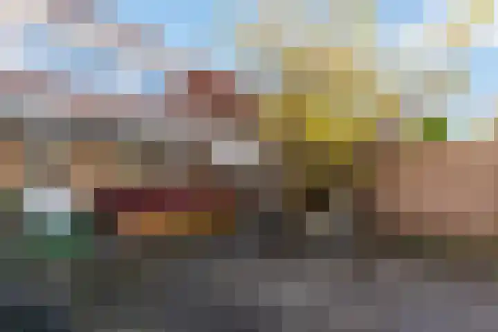 Riedertuin 70 Barendrecht thumbnail 4