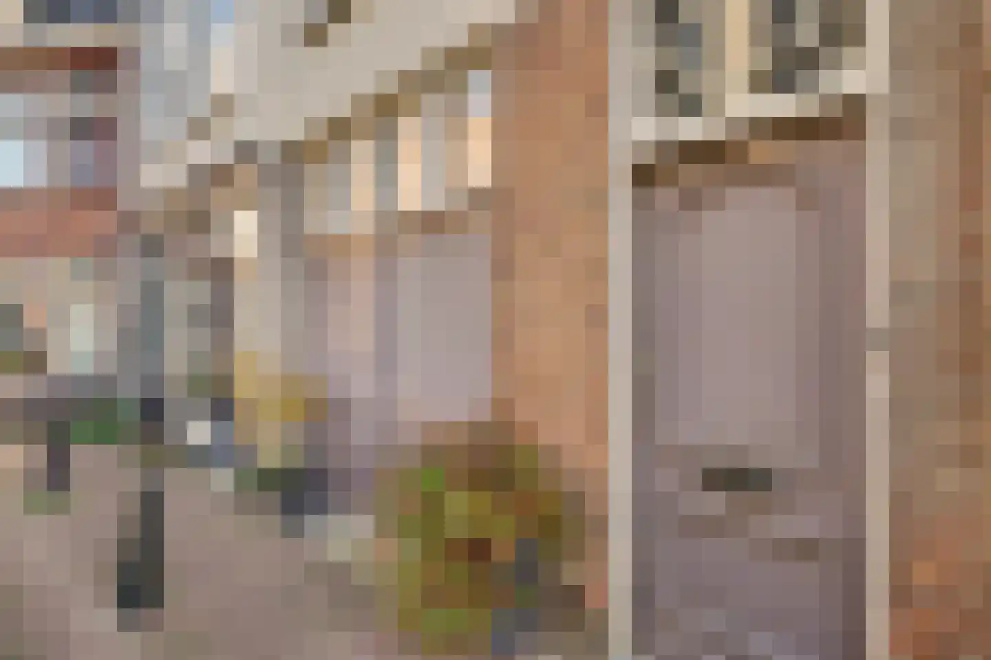 Riedijk 31 Dordrecht thumbnail 6