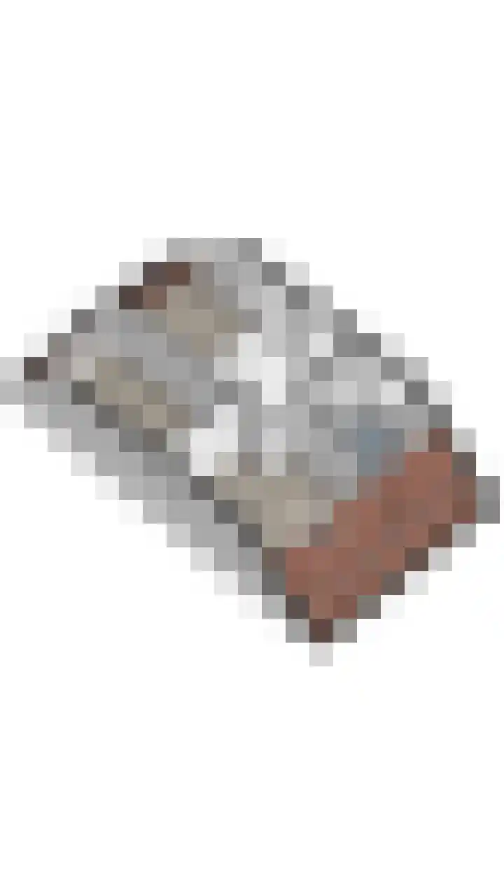 Rieger 6 Ureterp thumbnail 18