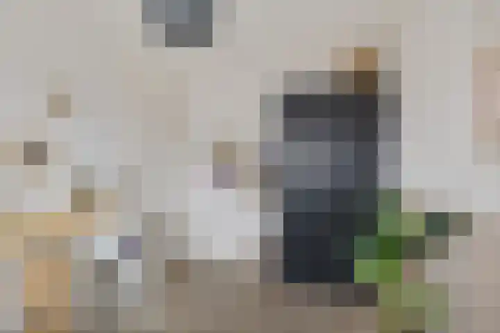 Rieger 6 Ureterp thumbnail 24