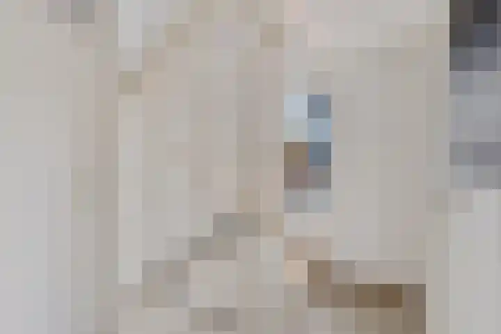Rieger 6 Ureterp thumbnail 30