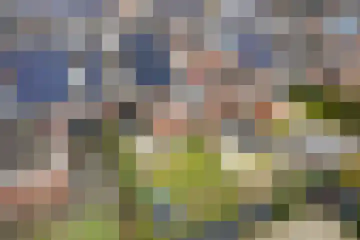 Rieger 6 Ureterp thumbnail 34