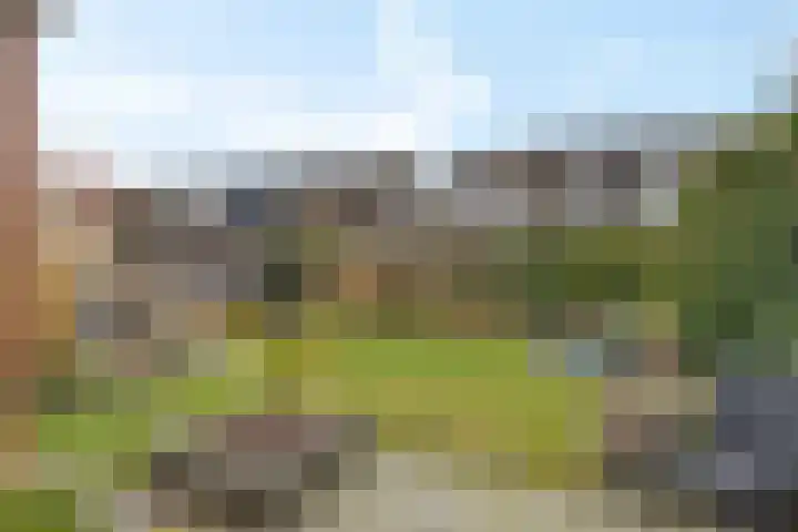 Rieger 6 Ureterp thumbnail 35