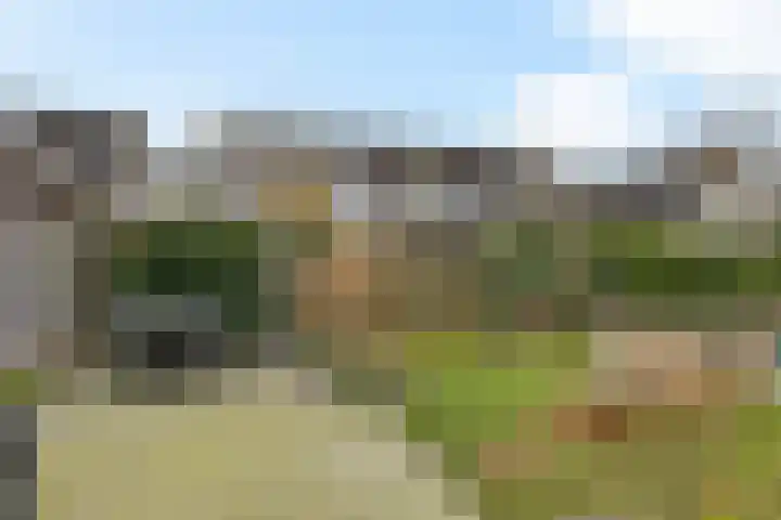 Rieger 6 Ureterp thumbnail 36