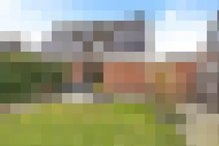 Rieger 6 Ureterp thumbnail 37