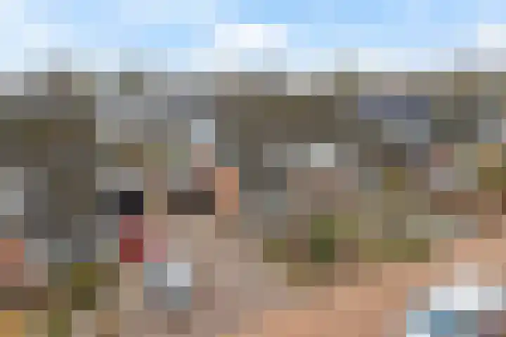 Rieger 6 Ureterp thumbnail 41