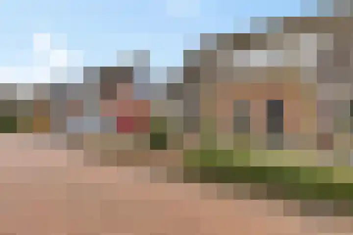 Rieger 6 Ureterp thumbnail 43