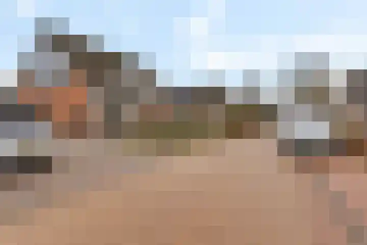 Rieger 6 Ureterp thumbnail 44