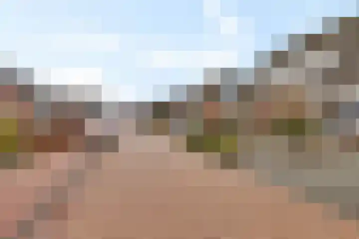 Rieger 6 Ureterp thumbnail 45