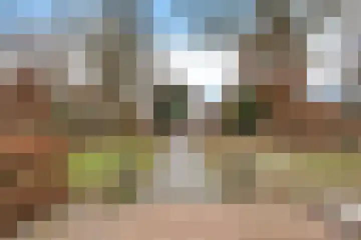 Rieger 6 Ureterp thumbnail 47